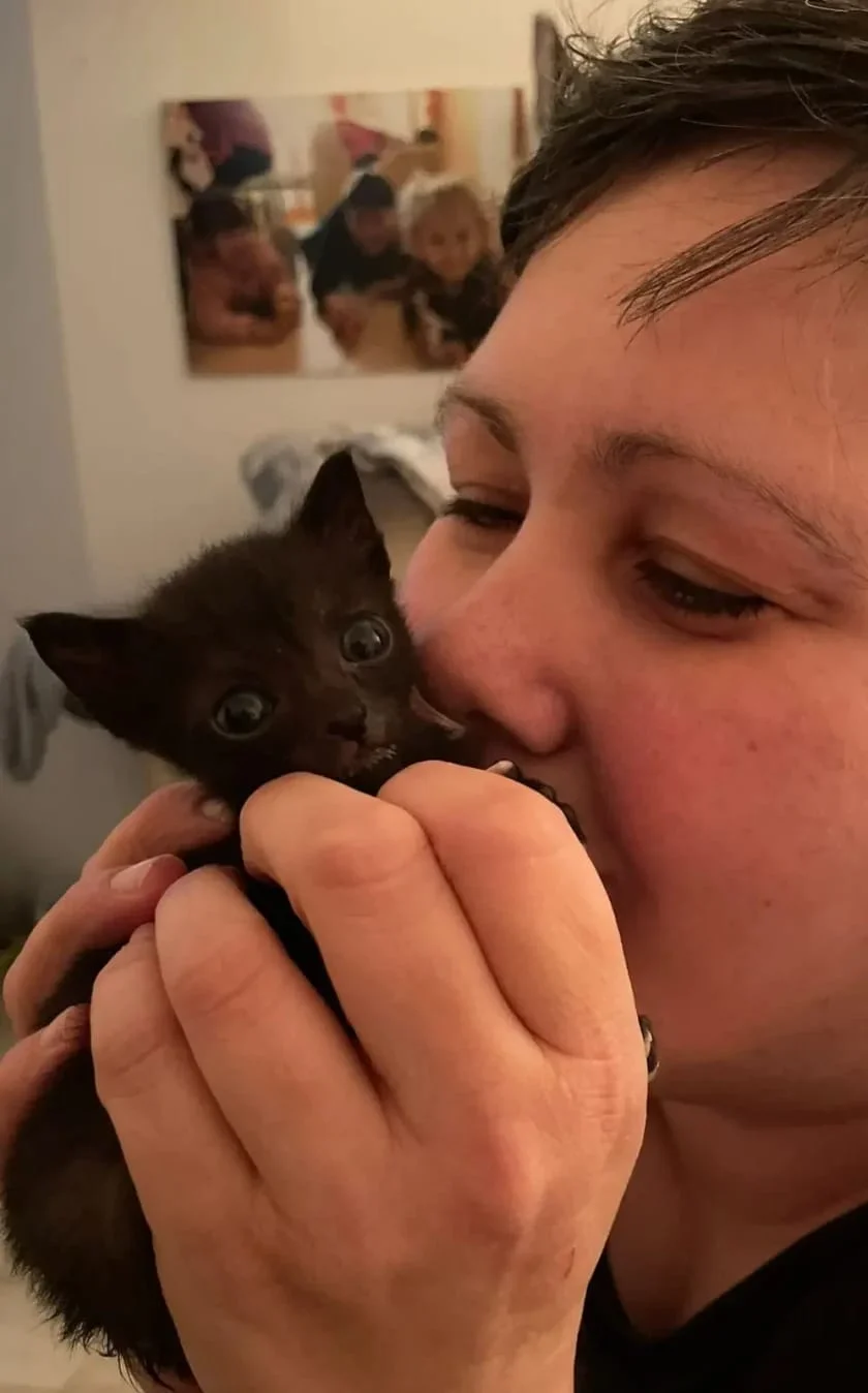 Marta Sala - Una casa per i gatti un cuore per la vita